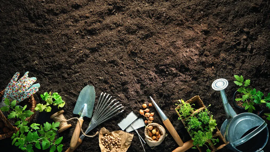 A set of gardening tools