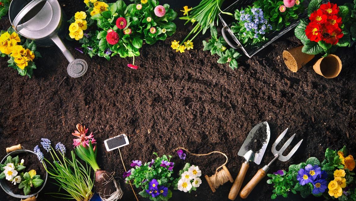 Gardening tools and flowers