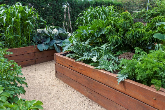 Gardens with wooden boxes