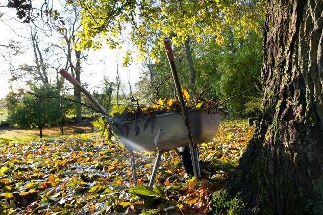 The Potager Gardener