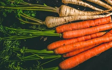 Freshly harvested lemon parsnips and carrots